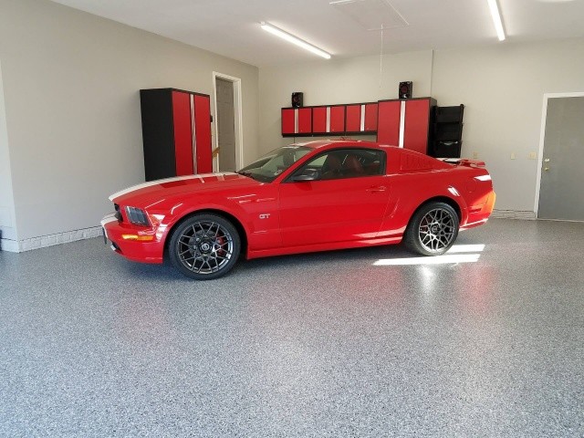 Side view of a mustang on concrete coated floor